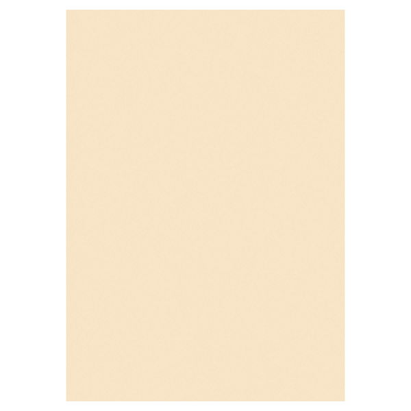 PREMIER ACTIVITY A4 160gsm CARD 50 SHEETS - IVORY