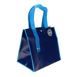 ORMOND EXTRA WIDE BASE CARRY BAG