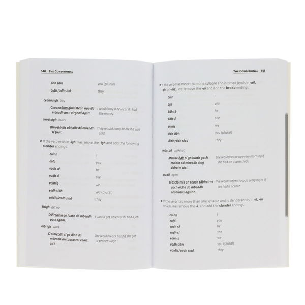 COLLINS EASY LEARNING IRISH GRAMMAR - Image 3