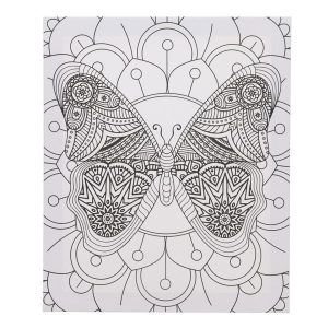 ICON 250x300mm COLOUR MY CANVAS - BUTTERFLY