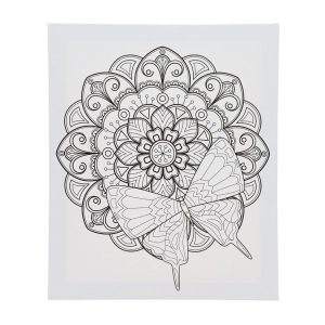 ICON 250x300mm COLOUR MY CANVAS - BUTTERFLY
